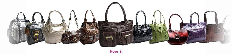 purseinsanity