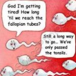 sperm sperm