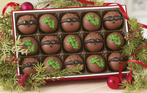 raccoon-truffles_459_lg