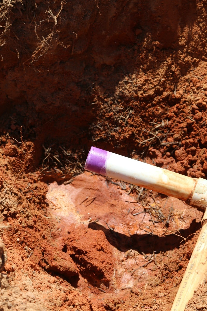 How to cap a Sprinkler head DIY MomDot