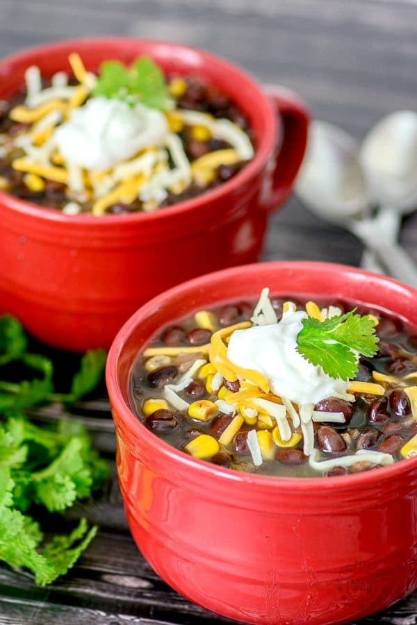 Black Bean and Salsa Soup