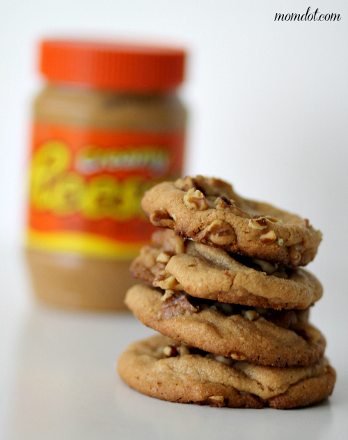 peanut butter cookie recipe