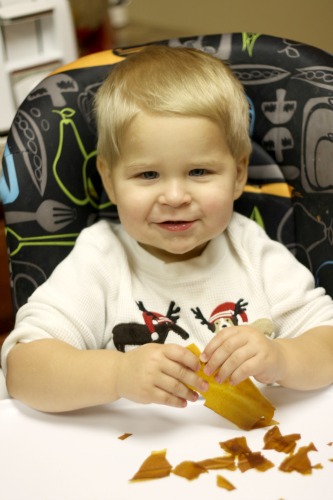 baby_food_recipes