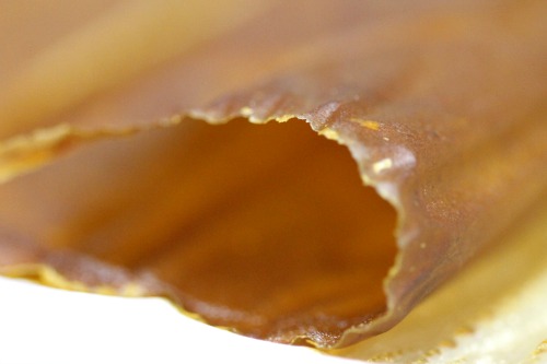 fruit-rollup-recipe