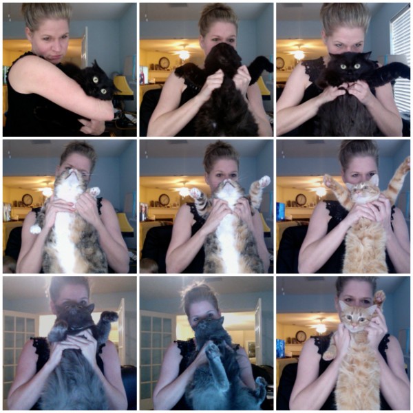 cat-beardmessups-600x600