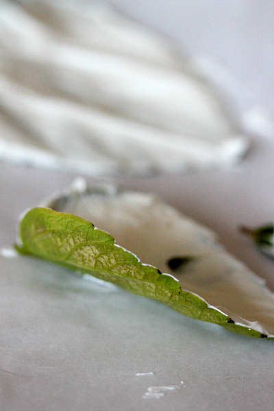 How to make chocolate leaves for decorating cupcakes and cakes
