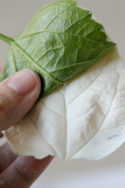 How to make chocolate leaves for decorating cupcakes and cakes
