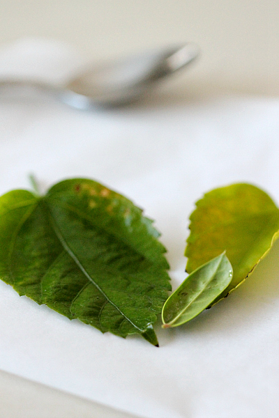 How to make chocolate leaves for decorating cupcakes and cakes