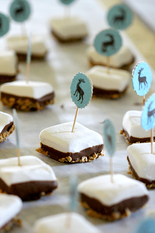 No Flame Anytime you want S'mores Bar, perfect for now or later, any age kid proof!