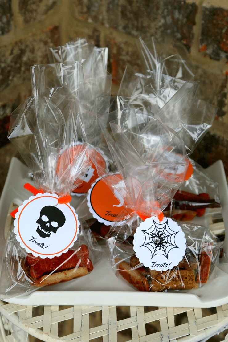 doggie treats for halloween