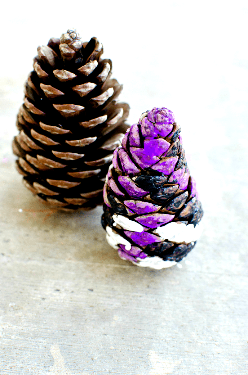 pine cone craft