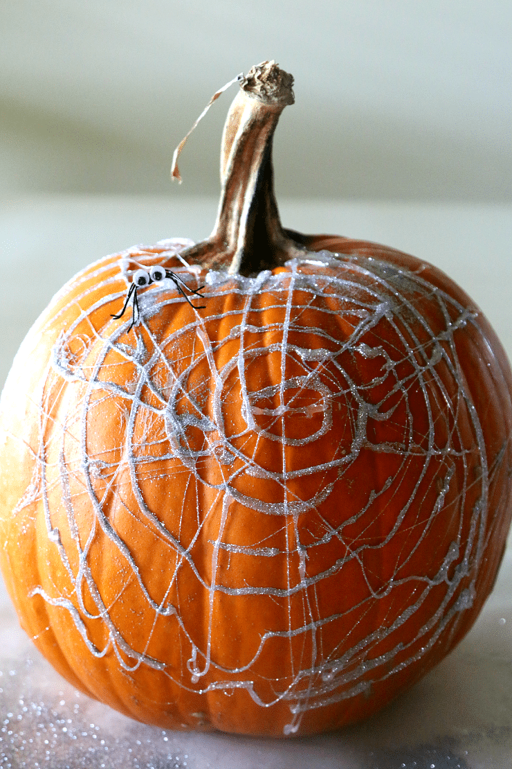 pumpkin with spider