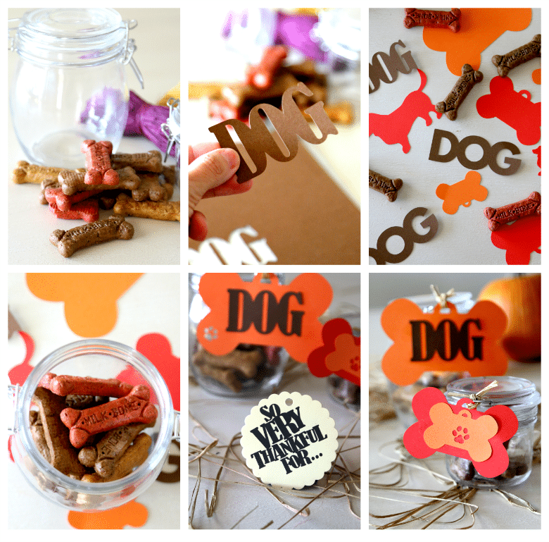 Dog treat gifts top