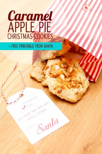 25 Christmas Cookie Recipes for Kids