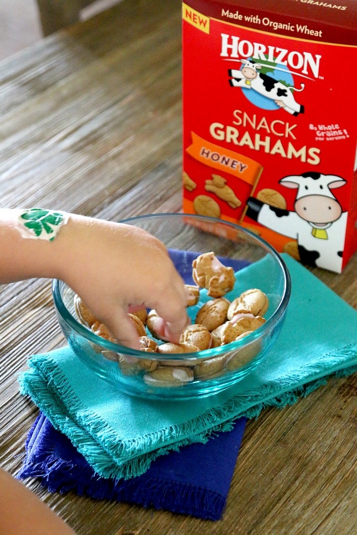 cookie bites with horizon