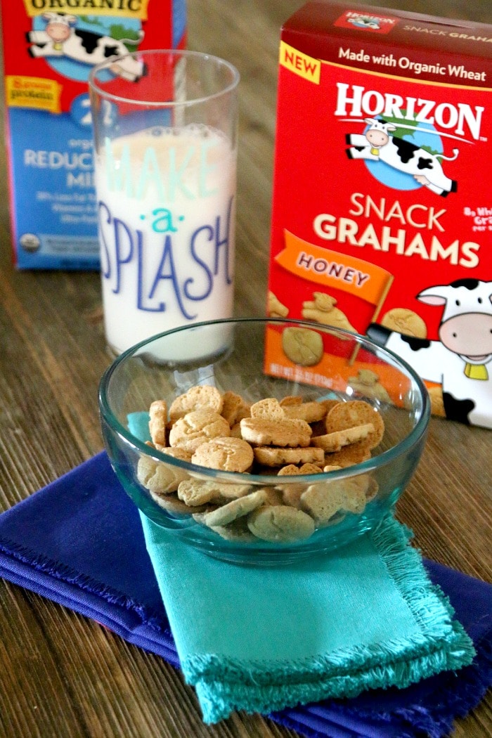 new horizon snack grahams