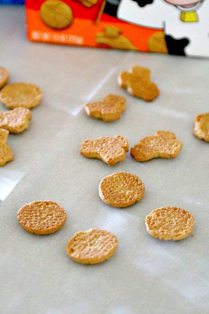 new horizon snack review