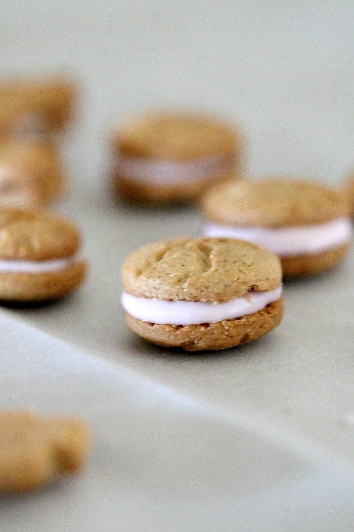 yogurt cookie bites