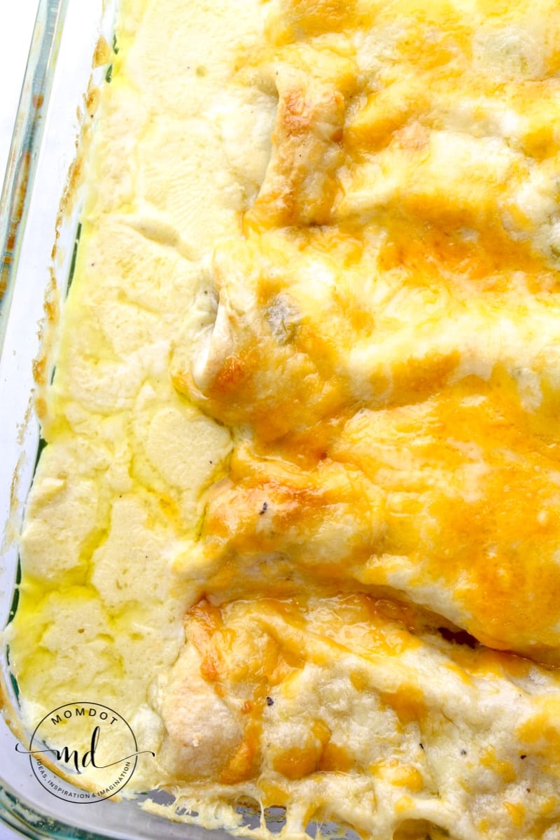 Baked creamy white chicken enchiladas freshly browned from the oven.