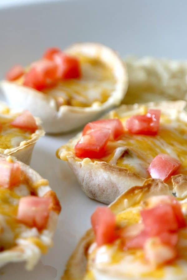 Old El Paso Recipes for Single Serve Dips