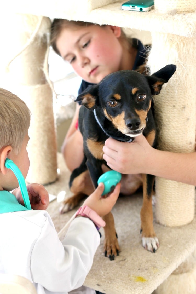 Printable Vet Office Pretend Play Sheet: Free Printable for Imagination Play