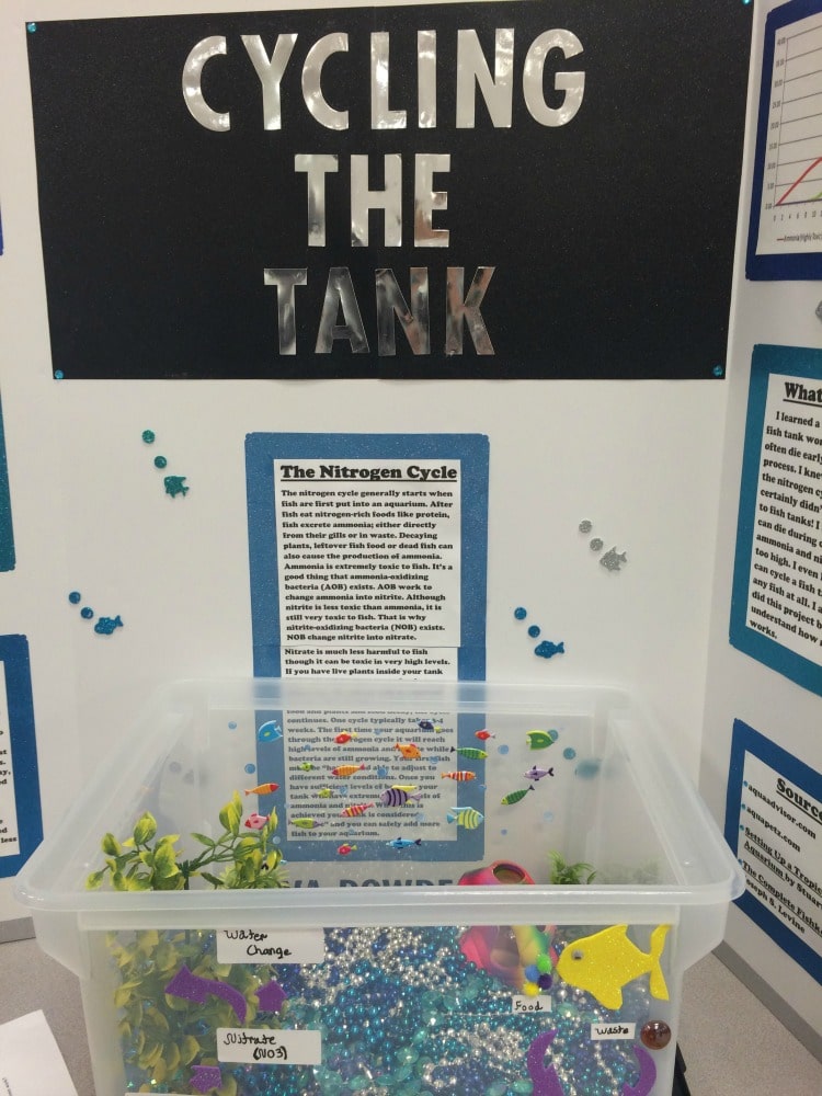 75  Science Fair Project Ideas