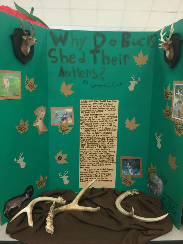 75+ Science Fair Project Ideas