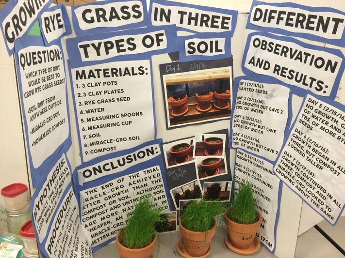 Growing Rye Grass in Three Types of Soil
