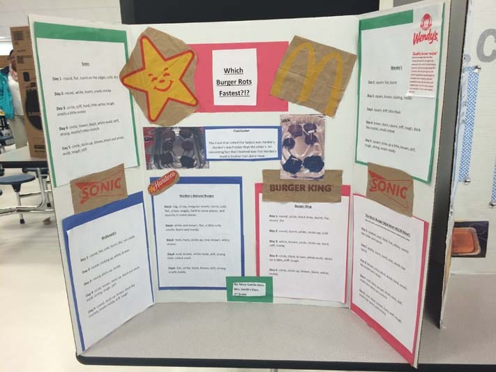 cool science experiments for science fair