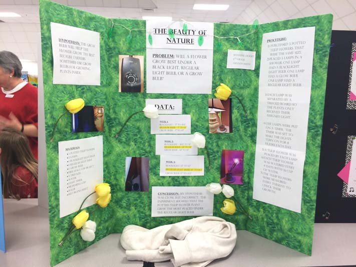 47 Best Images Science Fair Project Decorations : 75+ Science Fair Project Ideas