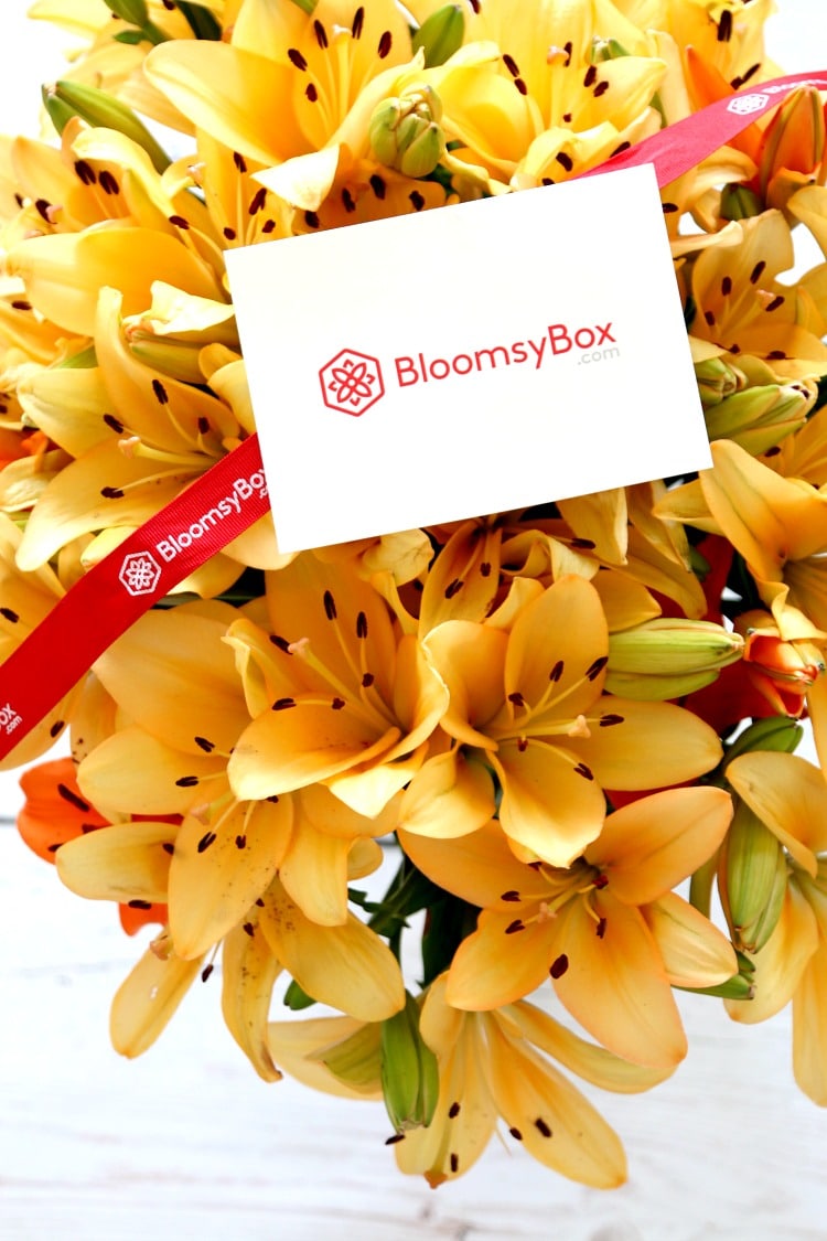 Bloomsy Box: Subscription for Monthly Flower Deliveries, Perfect for Loving Mom, Wife, Girlfriend or Yourself Year Round