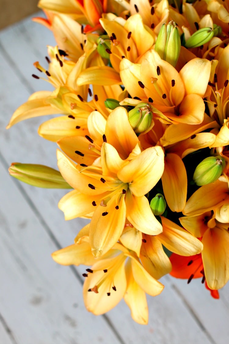 bloomsy box subscription (8)