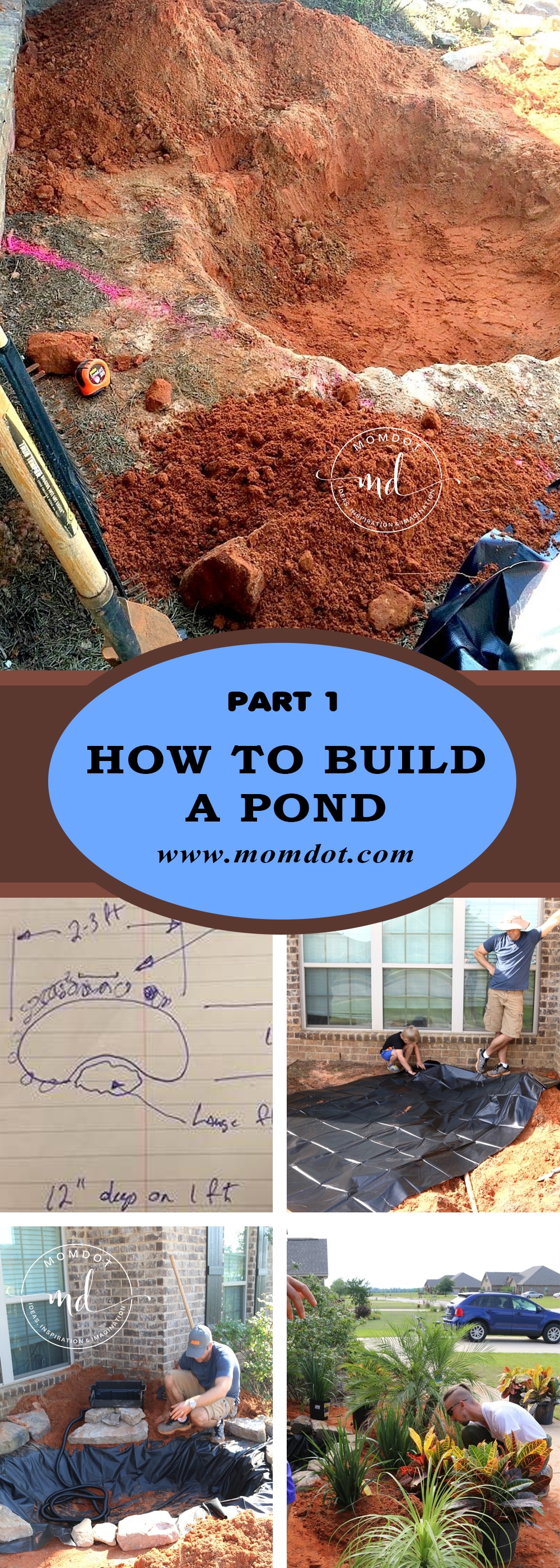 Graphic depicting all the steps of building a new pond then landscaping it with new greenery.