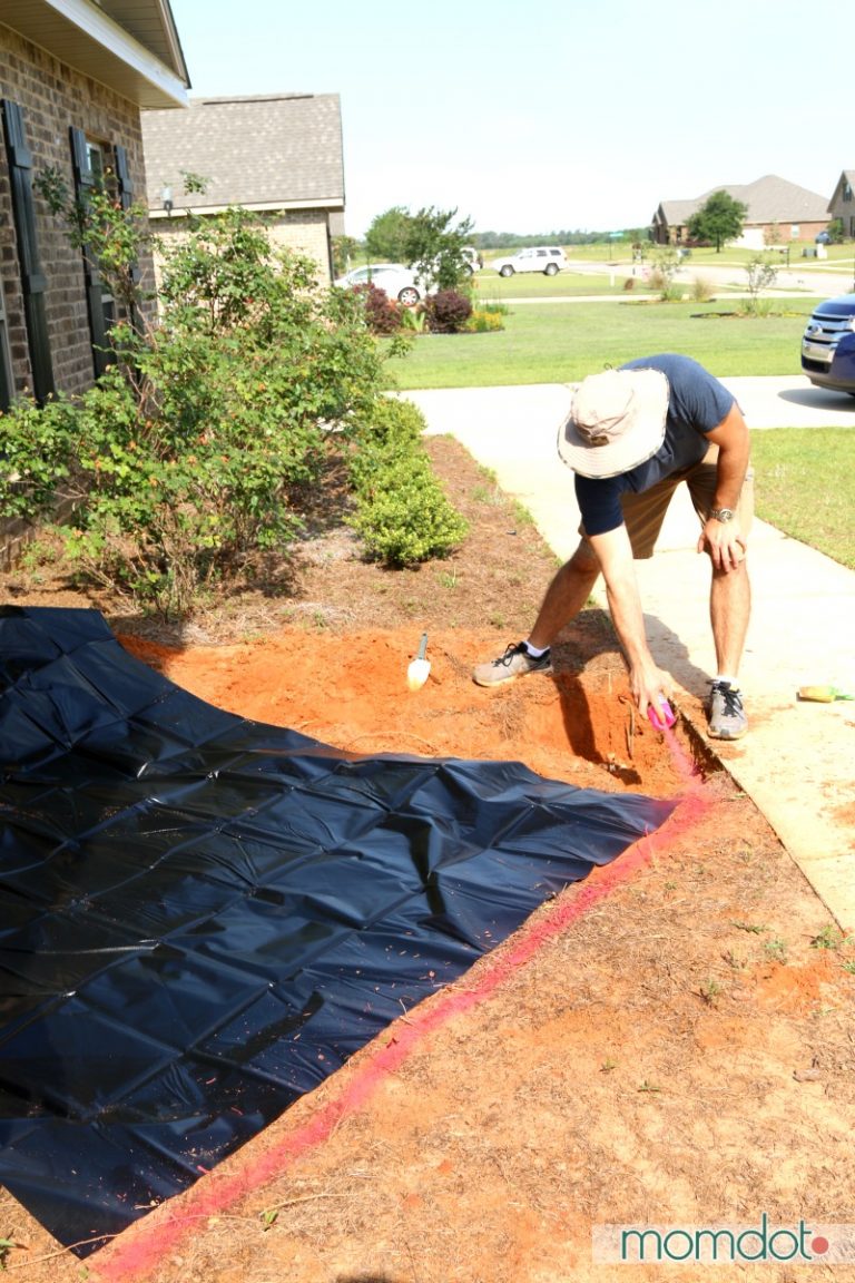 HOW TO Build a Pond & Waterfall Phase 1 (Pretty EASY!) - MomDot