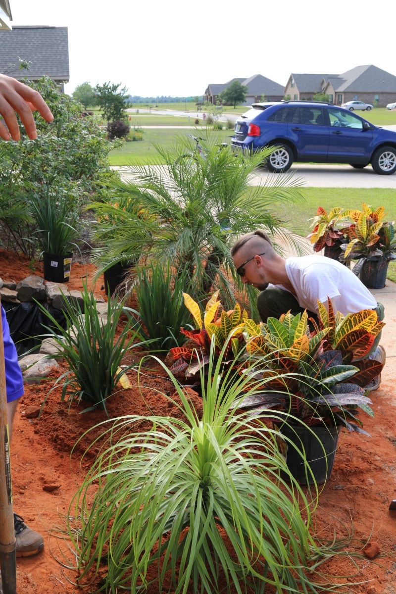 Man putting in decorative plants around a newly installed pond and waterfall