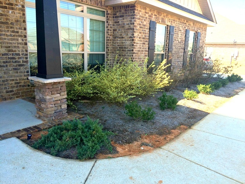 Front of a brick home with small shrubs in a row and a concrete sidewalk