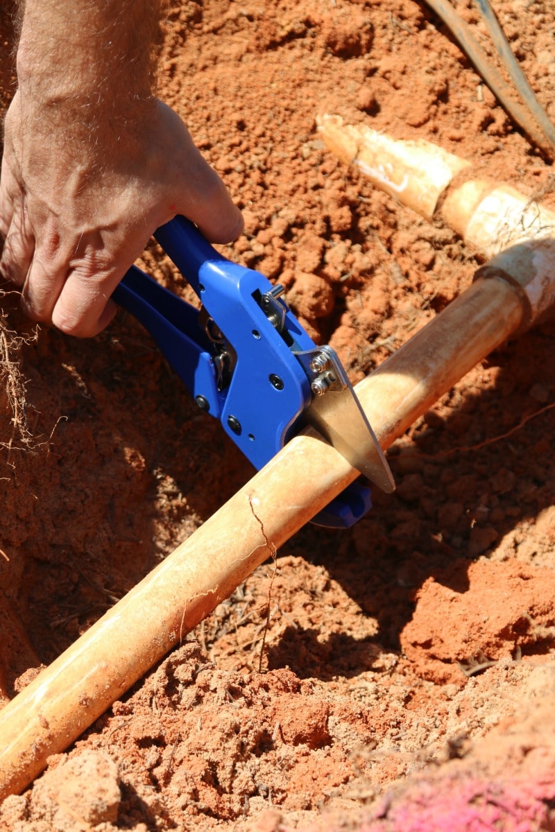 clipping sprinkler