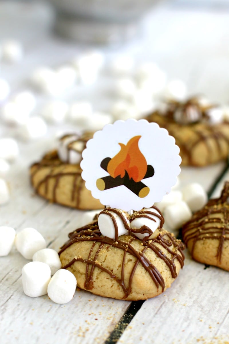 Campfire Cookies with FREE PRINTABLE: Tastes like S'mores but on a cookie, which means you can have it ANYTIME not just outdoor time! Get Recipe and FREE PRINTABLE HERE