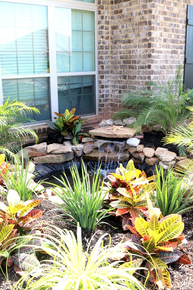 Build a Pond DIY
