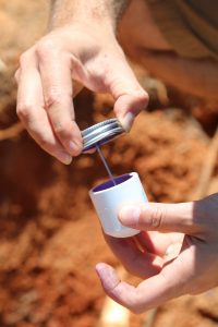 How to cap off a Sprinkler head and remove the PVC pipe from the area, DIY