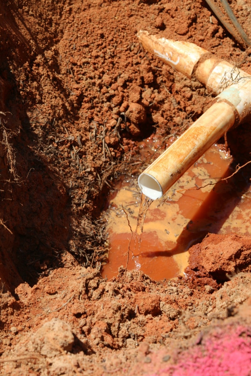 How to cap off a Sprinkler head and remove the PVC pipe from the area, DIY