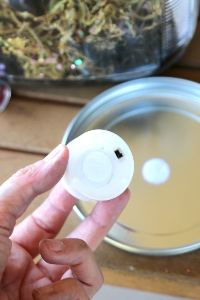 DIY Mason Jar Fairy Garden : adorable Fairy hidden away in a mason jar that can be used as a nightlight, decor, or put in the garden (and safe from rain!) , learn how to adopt a fairy for your garden today 