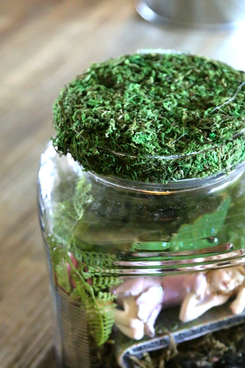 DIY Mason Jar Fairy Garden : adorable Fairy hidden away in a mason jar that can be used as a nightlight, decor, or put in the garden (and safe from rain!) , learn how to adopt a fairy for your garden today 