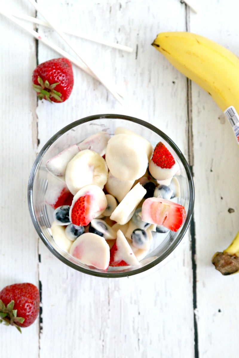Frozen Yogurt Breakfast Fruit Bites: Make Fresh Yogurt bites for a fun breakfast or snack on the go- Great for Back to School mornings