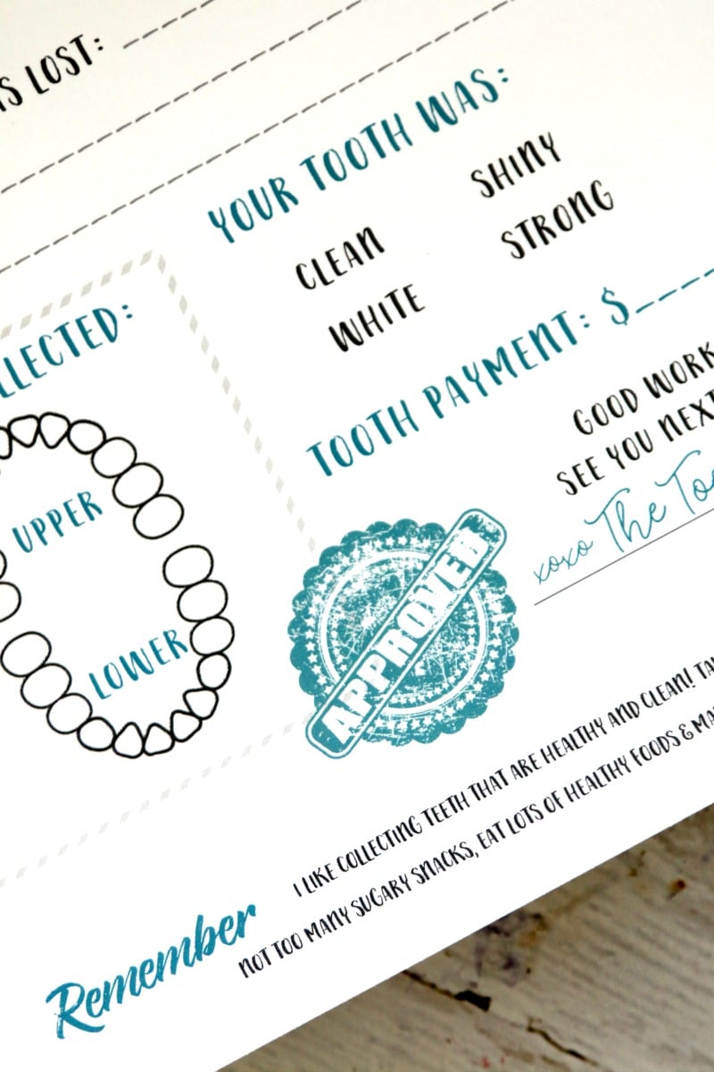 tooth fairy printable certificate - Free Printable Letter from the Tooth Fairy, instant print out and adorable for kids! 