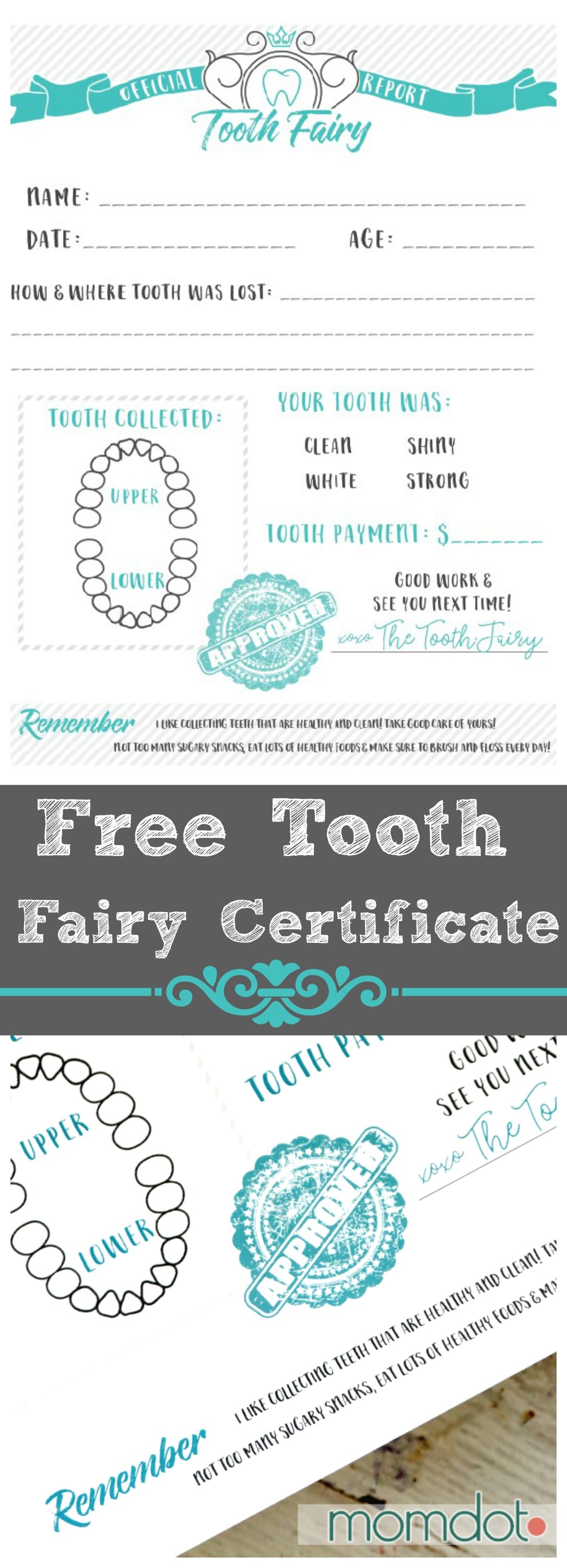 Tooth Fairy Printable Certificate - Free Printable Letter from the Tooth Fairy, instant print out and adorable for kids!