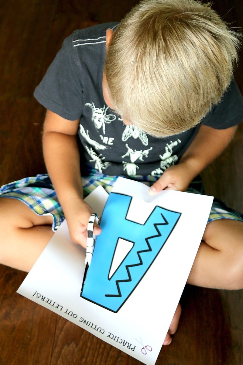 Fine Motor Scissor Skills : FREE PRINTABLE