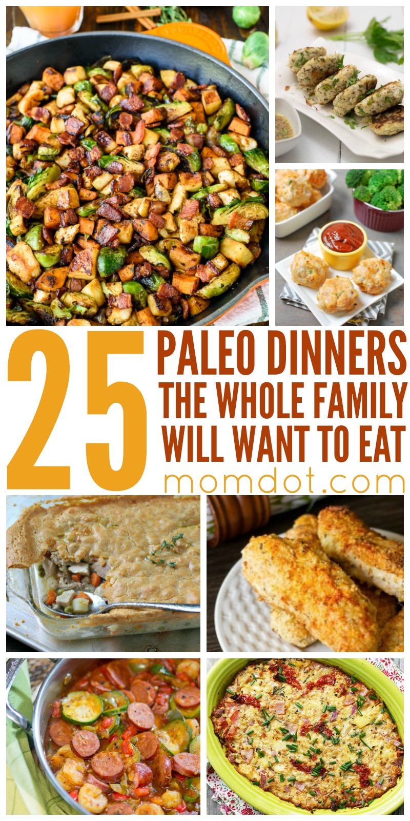 25 Paleo Dinner Recipes the whole family will love, on a paleo diet? Here are our favorite recipes