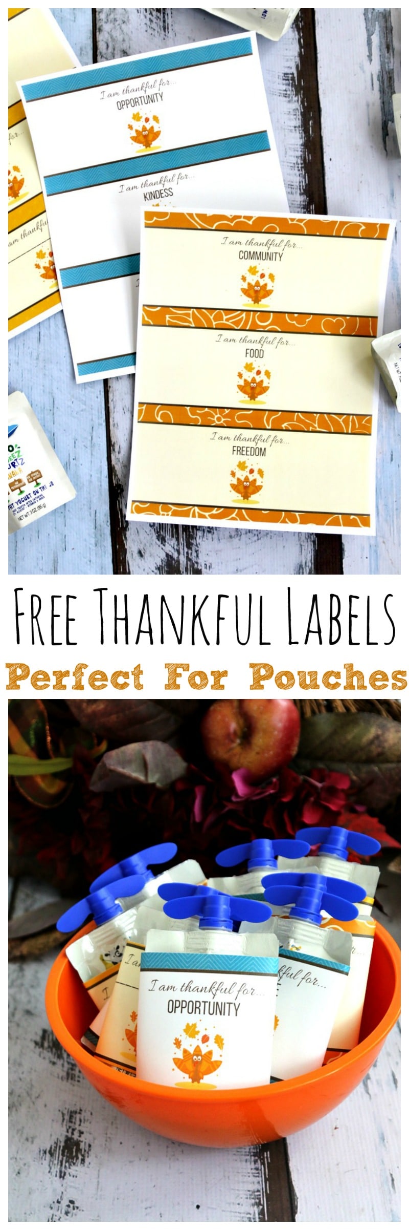 Free Thankful Labels (printable download) for applesauce and yogurt pouches, put in childs lunch for a fun note surprise to remind us what we are grateful for this season