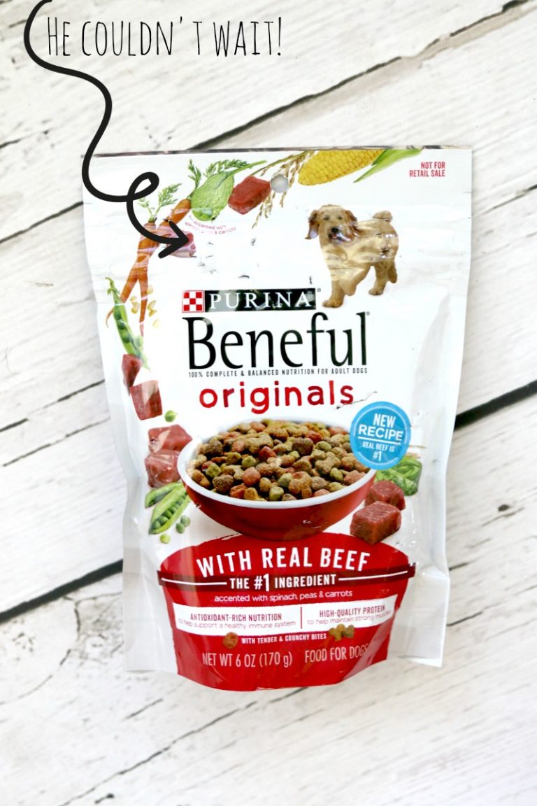 Mason Jar Dog Food Travel Storage